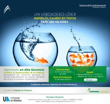 p_FUN_DIPLOBQUILLA_FEB2015
