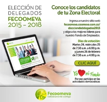 p_FECO_ELECCIONES_FEB2015
