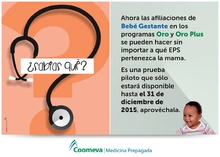 bebe_gestante
