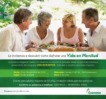 p_VEP_LANZAMIENTO_NOV2015