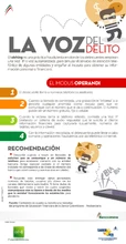 p_BAN_DELITO_NOV2015