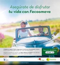 p_FECO_CARROS_DIC2015