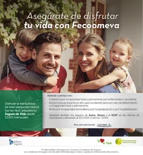 p_SYS_FECOVIDA_FEB2016