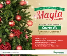 NovenaDia4