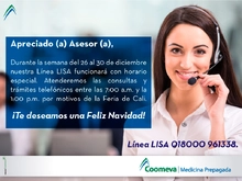 lisa-asesor