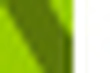 lista-asociados-verde