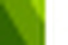 lista-asociados-verde2