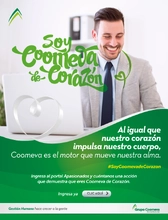 Emailing Lanzamiento (4