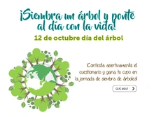 p_SALUD_ARBOL_OCT2017