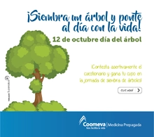 p_SALUD_ARBOL2_OCT2017
