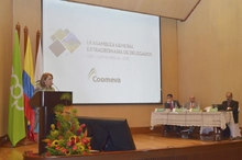 Asamblea Extraordinaria de Delegados