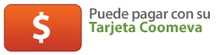 Bot&oacute;n puede Pagar con la Tarjeta 