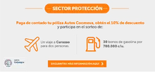 Sector Protecci&oacute;n
