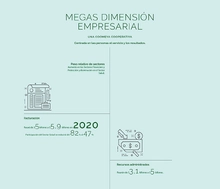 Mega dimension empresarial - Grande