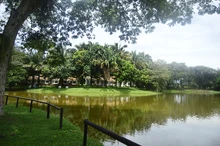 Caba&ntilde;as 
