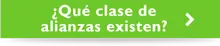 Qu&eacute; clase de alianzas existen