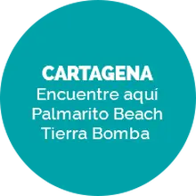 Palmarito Beach