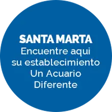 Mundo Marino