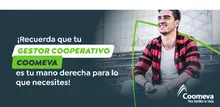 Banner en formaci&oacute;n
