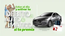 IMG D&Eacute;BITO AUTOM&Aacute;TICO 