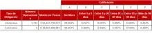FIC 365 FEB-Tabla Informaci&oacute;n por Tipo de Inversi&oacute;n
