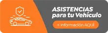 Veh&iacute;culo