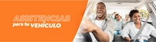 Asistencias para el Veh&iacute;culo