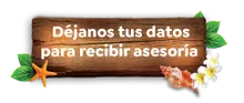 Datos