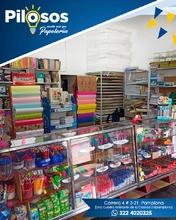 Papeler&iacute;a Pilosos