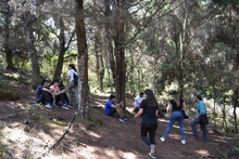 Jornada de siembra de &aacute;rboles