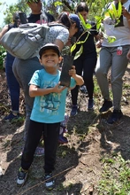 Jornada de siembra de &aacute;rboles