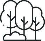 &aacute;rboles