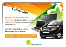 p_bonoSolidario