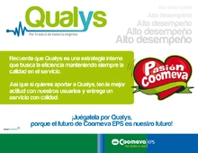 p_Qualys3