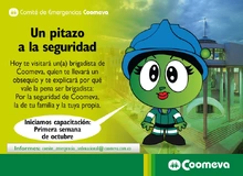 p_comiteEmergencia2