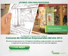 p_tuIdea2012 v2