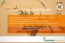 p_5S_proteccion_7