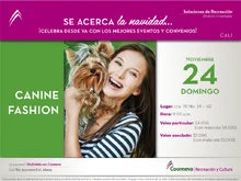 p_RYC_CanineFashion_NOV2013