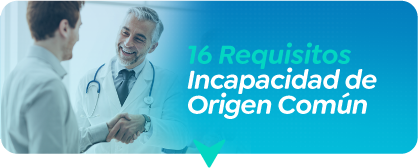 16 Requisitos 
