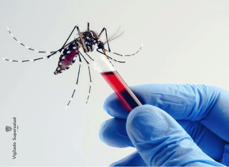 /Información Importante del Dengue